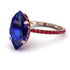 Hidden Halo Marquise Sapphire Engagement Ring - Journey No. 59 image 1