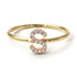 Two Tones Initial Diamond Ring - Raegan No. 16
