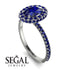 Oval Sapphire Halo Hidden Sapphires Ring - Amy No. 75