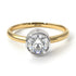 Two Tones Solitaire Bezel Diamond Ring - Emerson No. 17