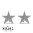 Star Stud Diamond Earrings - Star No. 3