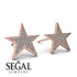 Star Stud Diamond Earrings - Star No. 2