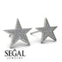 Star Stud Diamond Earrings - Star No. 3