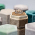 The Garden 25 year Anniversary Ring - Jasmine no. 6