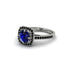 Sapphire Cathedral Halo Engagement Ring - Luciana No. 45 image 3