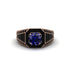 Sapphire Royal Radiance Halo Engagement Ring - Liana No. 44 image 2