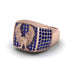 Sapphires Luxury Gold Eagle Ring - Sutton No. 14 image 1