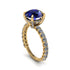 Sapphire Twisted Band Halo Engagement Ring - Avianna No. 13 image 1