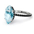 Hidden Halo Marquise Aquamarine Engagement Ring - Journey No. 409 image 1