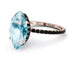 Hidden Halo Marquise Aquamarine Engagement Ring - Journey No. 408 image 1