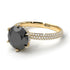 Hidden Halo Round Diamond Engagement Ring - Ashley No. 7 image 1