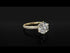 Hidden Halo Round Diamond Engagement Ring - Ashley No. 1