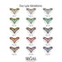 Double V Black Diamond Ring - Lyla No. 8 image 5