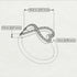 Infinity Heart Black Diamond Ring - Blakely No. 9 image 4