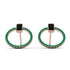 Emerald Cut Circle Black Diamond Earrings - Oaklyn No. 23 image 1