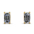 Hidden Diamonds Emerald Cut Diamond Earrings - Angel No. 31 image 1