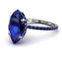 Hidden Halo Marquise Sapphire Engagement Ring - Journey No. 75 image 1